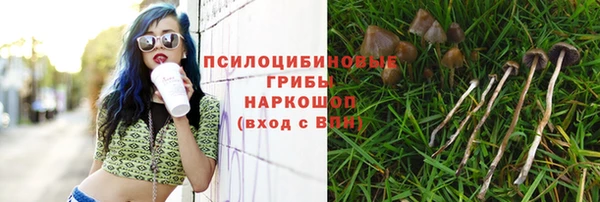 твердый Тольятти