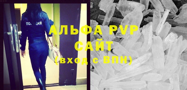 крисы Козельск