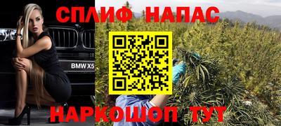 гидра Балахна