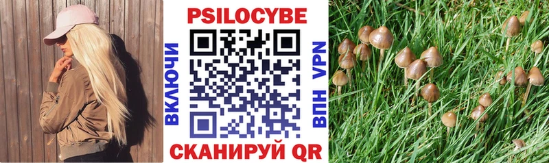 Галлюциногенные грибы Cubensis  Десногорск 