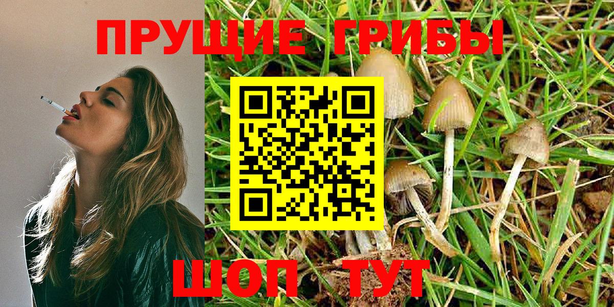 Галлюциногенные грибы MAGIC MUSHROOMS Десногорск